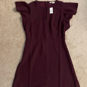 Plum color shift dress